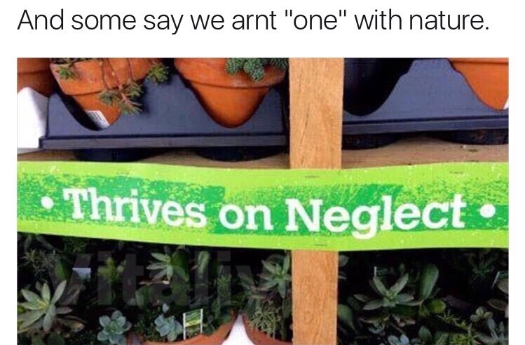 meme stream - thrive on neglect - And some say we arnt "one" with nature. Thrives on Neglect