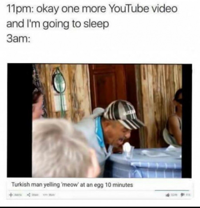meme stream - turkish man yelling meow at an egg - 11pm okay one more YouTube video and I'm going to sleep 3am Turkish man yelling 'meow' at an egg 10 minutes