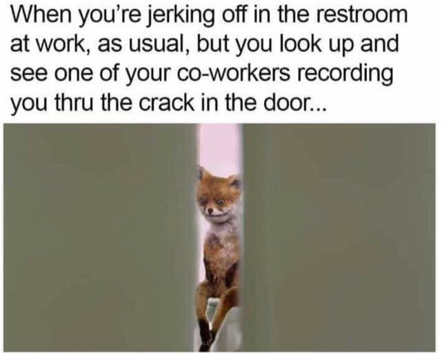 meme stream - jerking off at work meme - When you're jerking off in the restroom at work, as usual, but you look up and see one of your coworkers recording you thru the crack in the door...