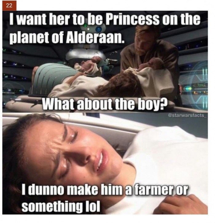 meme stream - dunno make him a farmer or something lol - 22 I want her to be Princess on the planet of Alderaan. What about the boy? I dunno make him a farmer or something lol