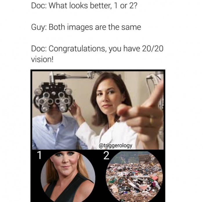 meme stream - fuck with the vision meme - Doc What looks better, 1 or 2? Guy Both images are the same Doc Congratulations, you have 2020 vision!