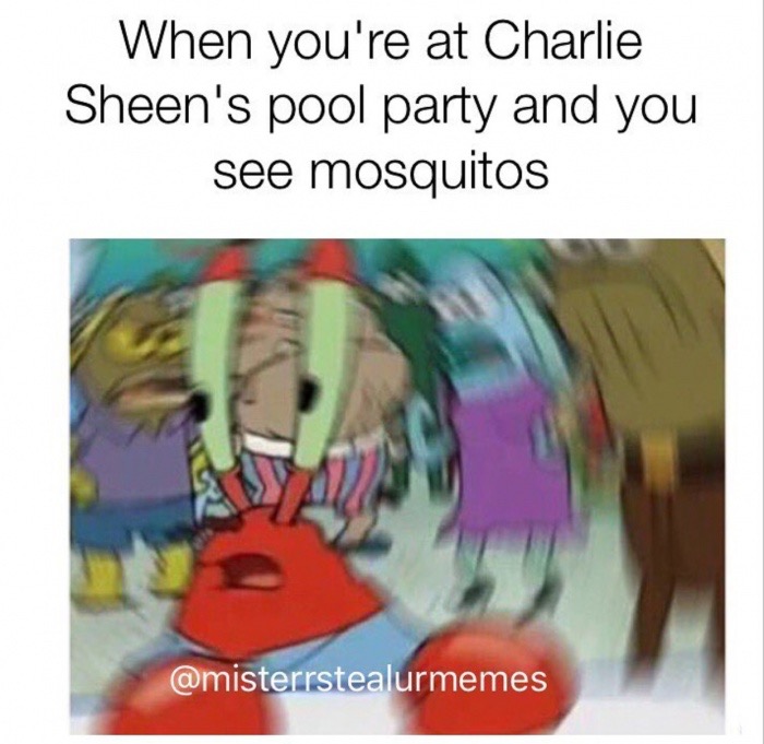 you roast the quiet kid - When you're at Charlie Sheen's pool party and you see mosquitos