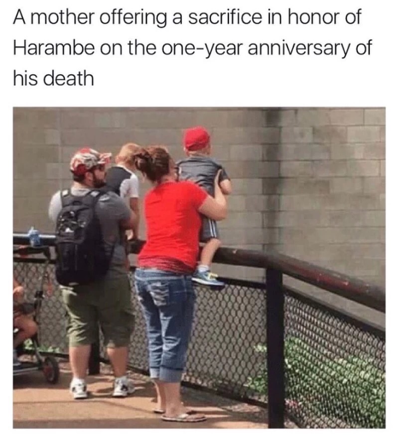 harambe 1 year anniversary - A mother offering a sacrifice in honor of Harambe on the oneyear anniversary of his death