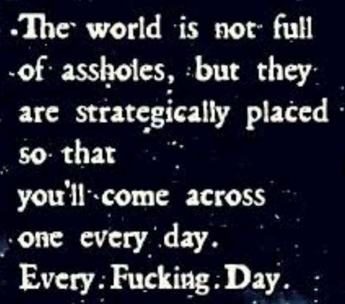 atmosphere - The world is not full of assholes, but they are strategically placed so that you'll come across one every day. Every Fucking Day.