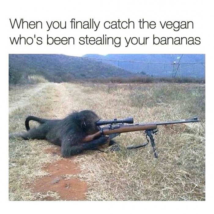 monkey with a sniper - When you finally catch the vegan who's been stealing your bananas