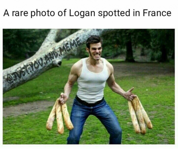 paul welsh - A rare photo of Logan spotted in France