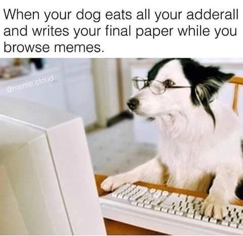 dog on computer - When your dog eats all your adderall and writes your final paper while you browse memes. Kereme cloud
