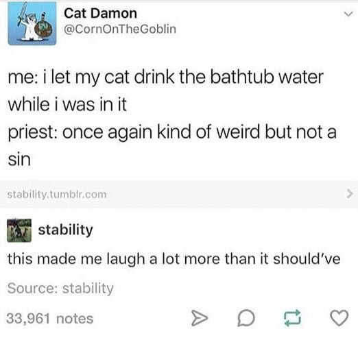 meme stream - college professor emails - Cat Damon me i let my cat drink the bathtub water while i was in it priest once again kind of weird but not a sin stability, tumblr.com stability this made me laugh a lot more than it should've Source stability 33,