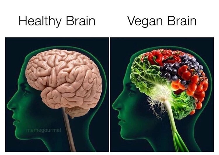 meme stream - brain food - Healthy Brain Vegan Brain memegourmet