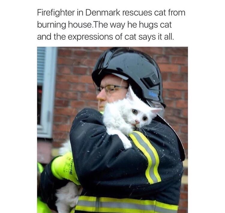 firefighters saving animals - Firefighter in Denmark rescues cat from burning house. The way he hugs cat and the expressions of cat says it all.