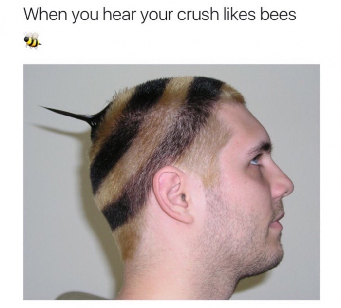 weird haircuts for guys - When you hear your crush bees