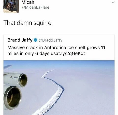 squirrel from ice age memes - Micah That damn squirrel Bradd Jaffy Jaffy Massive crack in Antarctica ice shelf grows 11 miles in only 6 days usat.ly2qGeKdt