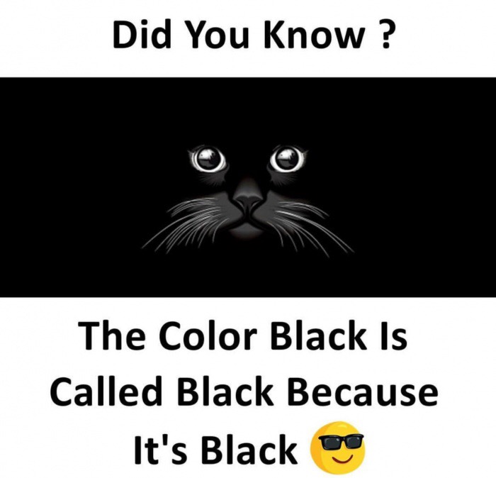 whiskers - Did You Know? The Color Black Is Called Black Because It's Black De