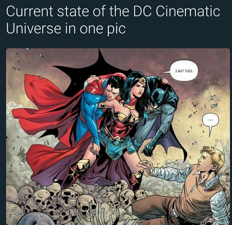 batman and wonder woman - Current state of the Dc Cinematic Universe in one pic I Got This