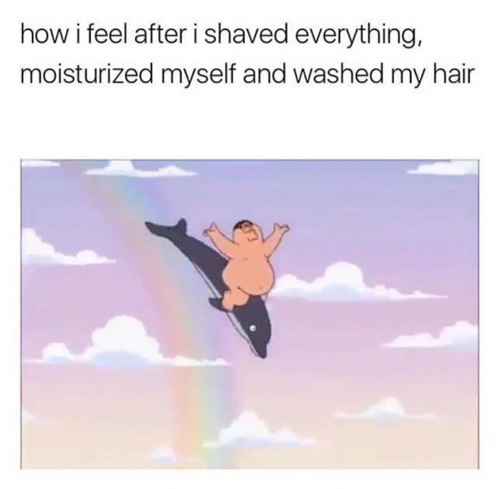 Peter Griffin naked on a dolphin as the feeling after washing hair and moisturizing.