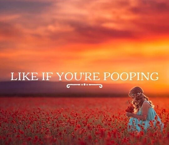 Meme asking you to like it if you are pooping while reading it.