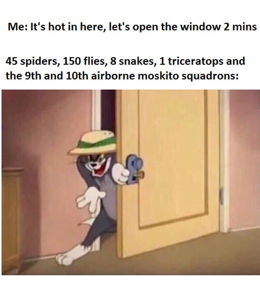 Meme about wanting to open the window and then getting a whole bunch of bugs.