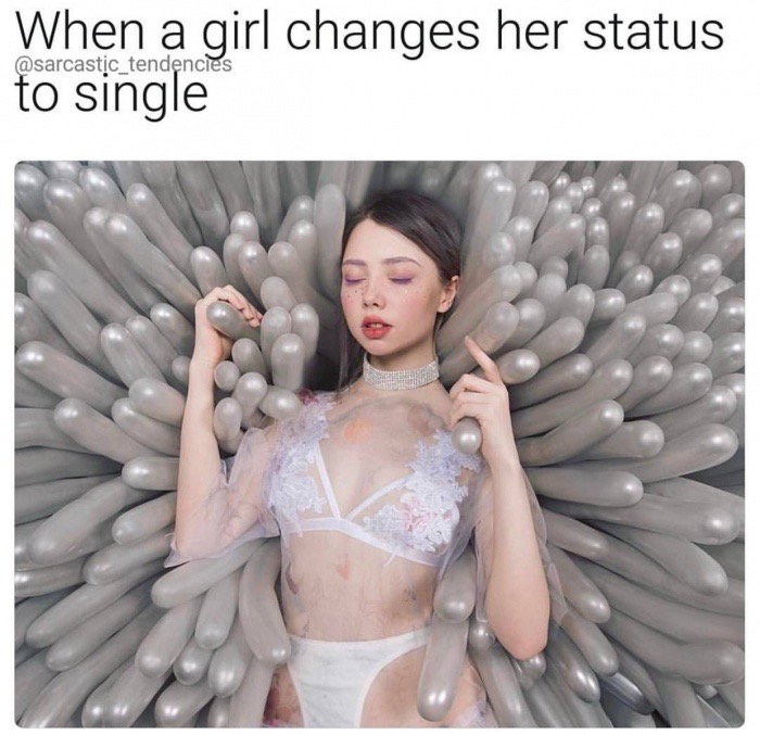meme stream - smol girl meme - When a girl changes her status to single
