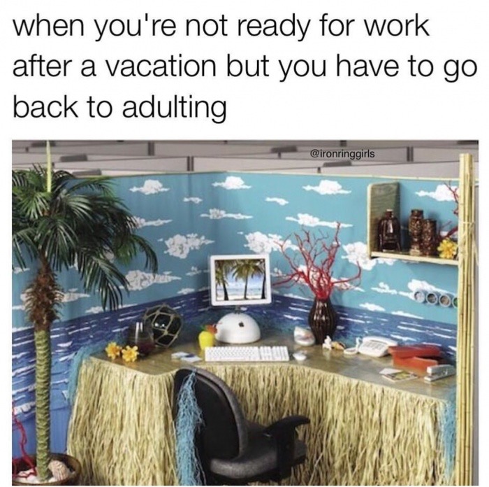 meme stream - cubicle decorating ideas - when you're not ready for work after a vacation but you have to go back to adulting