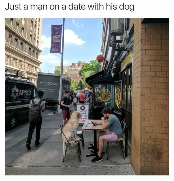 meme stream - Dog - Just a man on a date with his dog Meadows Arista Tacos Tos T Nour 7 W