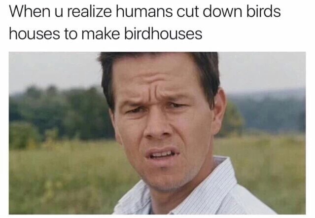 meme stream - humans cut down birdhouses to make birdhouses - When u realize humans cut down birds houses to make birdhouses