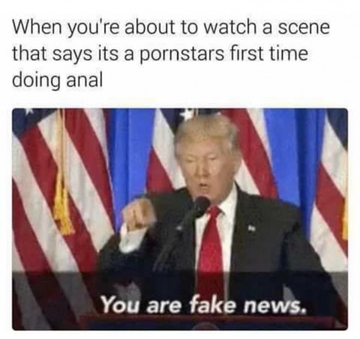meme stream - you are fake news trump meme - When you're about to watch a scene that says its a pornstars first time doing anal You are fake news.