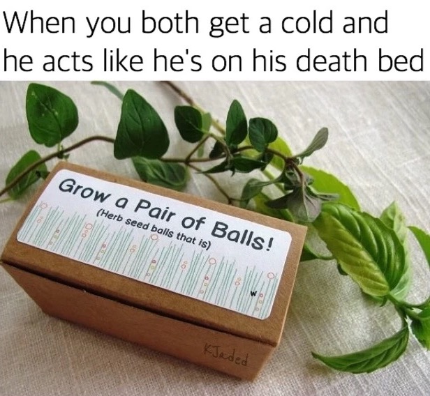 meme stream - seeds to grow balls - When you both get a cold and he acts he's on his death bed Grow a pair of Balls! Herb seed balls that is lo KJaded