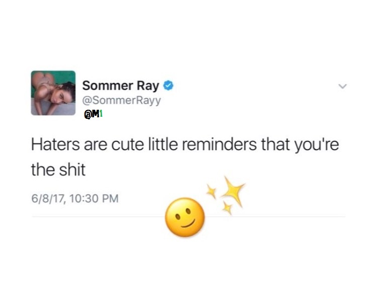 meme stream - diagram - Sommer Ray Haters are cute little reminders that you're the shit 6817,