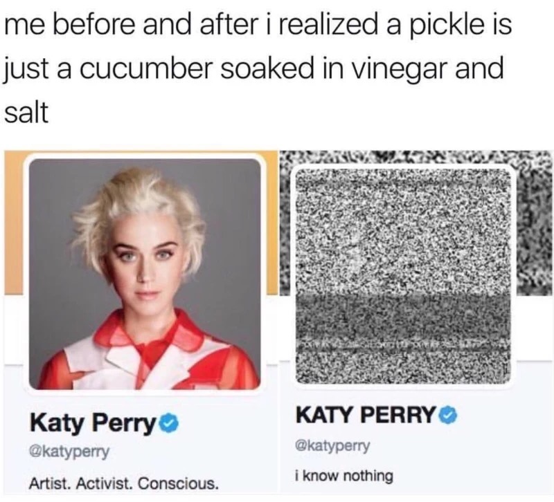 meme stream - uni vs me meme - me before and after i realized a pickle is just a cucumber soaked in vinegar and salt Katy Perry Katy Perry Artist. Activist. Conscious. i know nothing