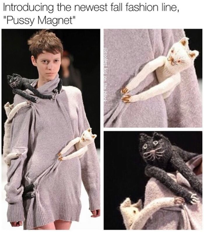memes - Introducing the newest fall fashion line, "Pussy Magnet" kid on the black