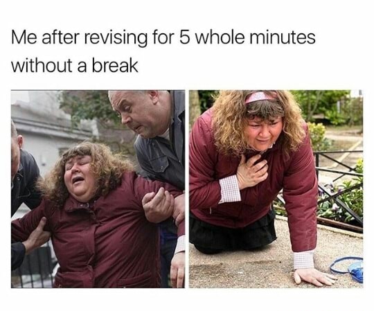 memes - you are so dramatic meme - Me after revising for 5 whole minutes without a break