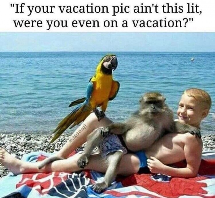 memes - beach kid funny - "If your vacation pic ain't this lit, were you even on a vacation?" Chihinnagil