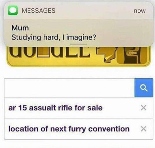 memes - nearest furry convention meme - Messages now Mum Studying hard, I imagine? Uupulle ar 15 assualt rifle for sale location of next furry convention X