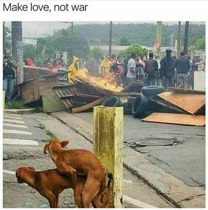 memes - no war make love - Make love, not war
