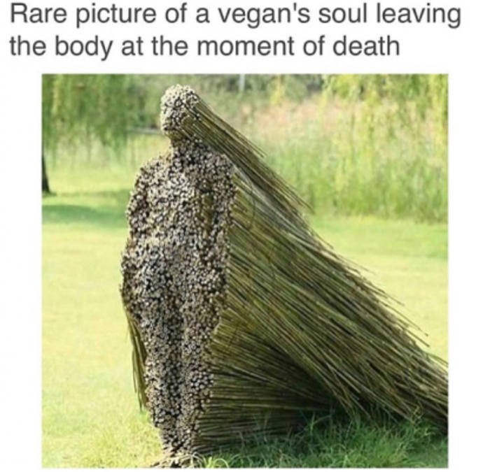 memes - vegan soul meme - Rare picture of a vegan's soul leaving the body at the moment of death