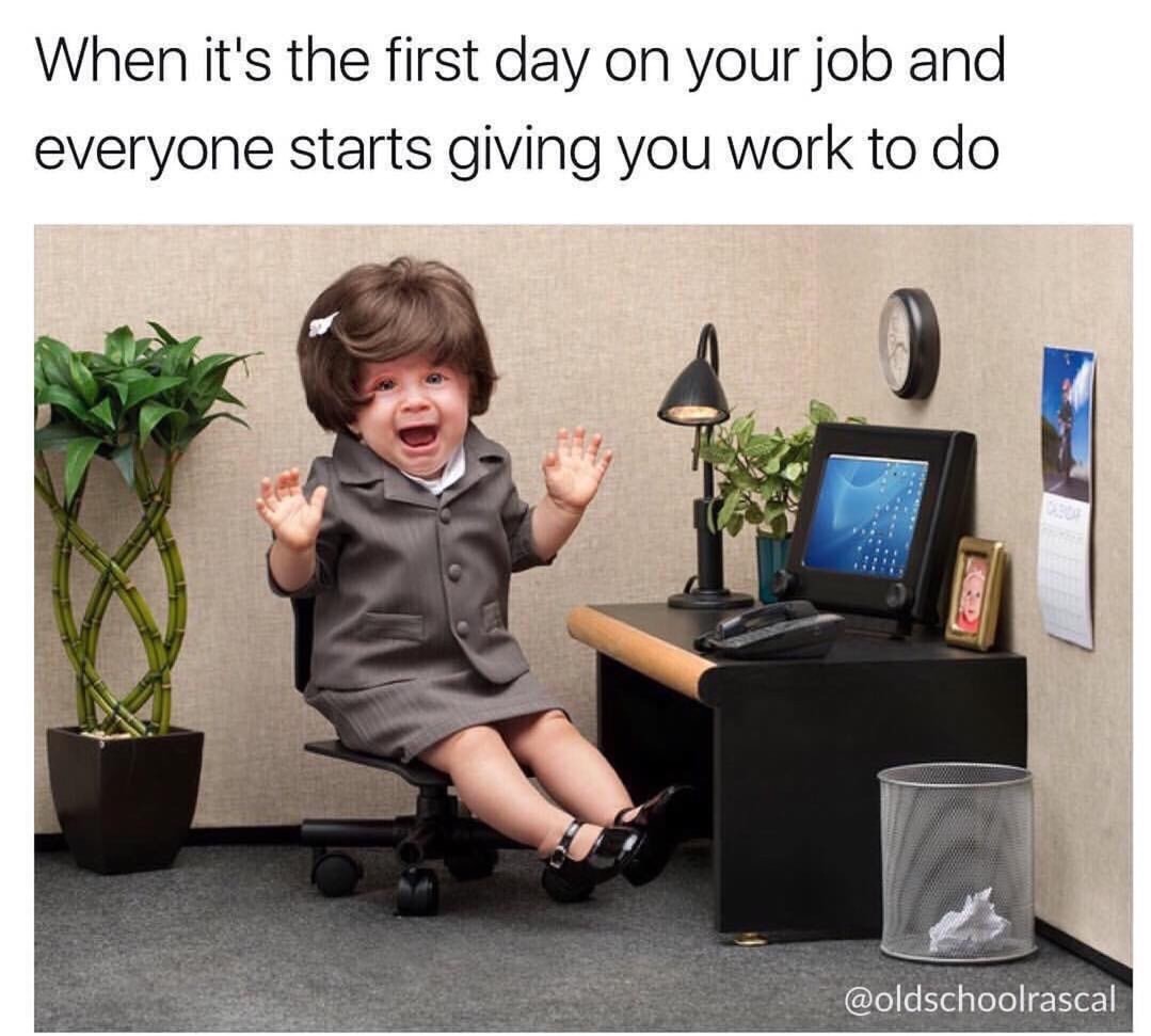 memes - funny memes about life - When it's the first day on your job and everyone starts giving you work to do