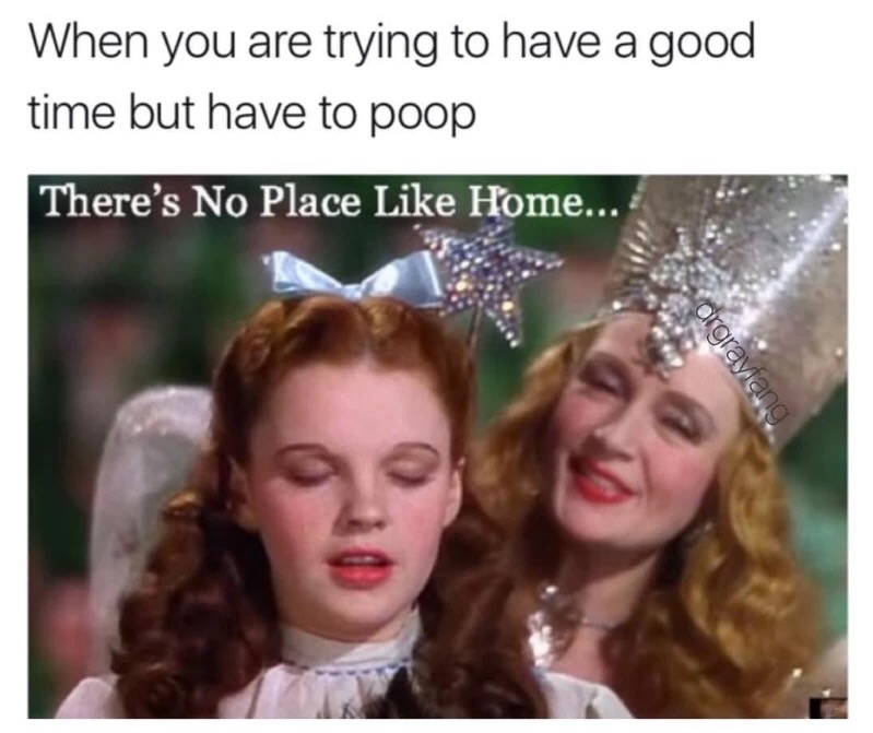 Wizard of Oz meme about having a good time but you gotta poop.