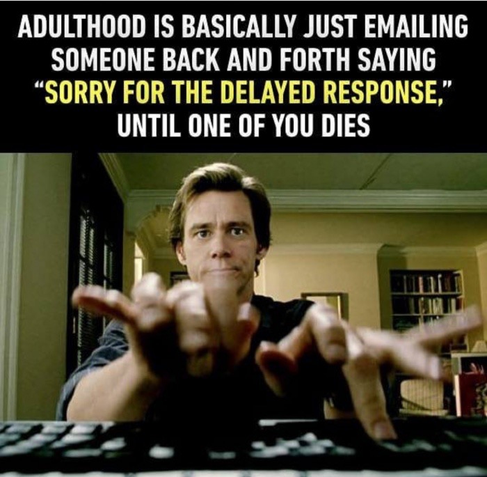 Jim Carrey on the computer with caption about how life is just playing email tag and apologizing for the delayed response.