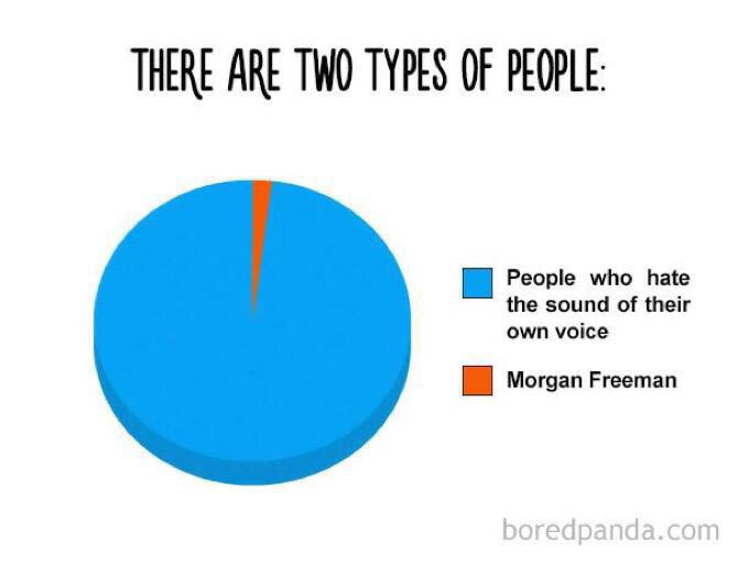 meme stream - funny charts - There Are Two Types Of People People who hate the sound of their own voice Morgan Freeman boredpanda.com