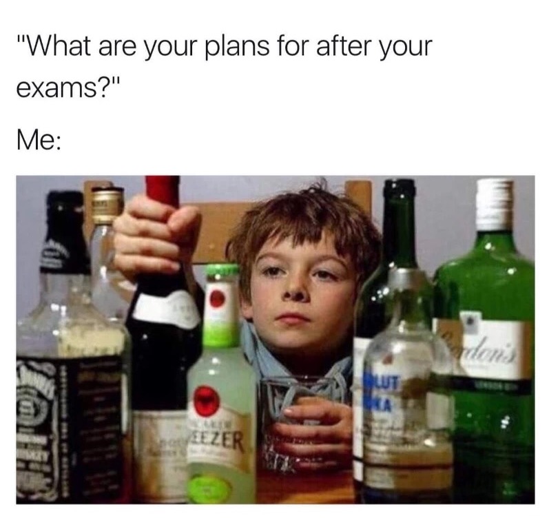 meme stream - your plans for after your exams - "What are your plans for after your exams?" Me Ezek