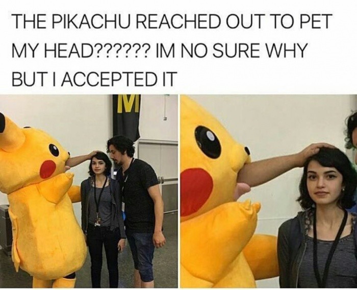 meme stream - pikachu pet my head - The Pikachu Reached Out To Pet My Head?????? Im No Sure Why But I Accepted It
