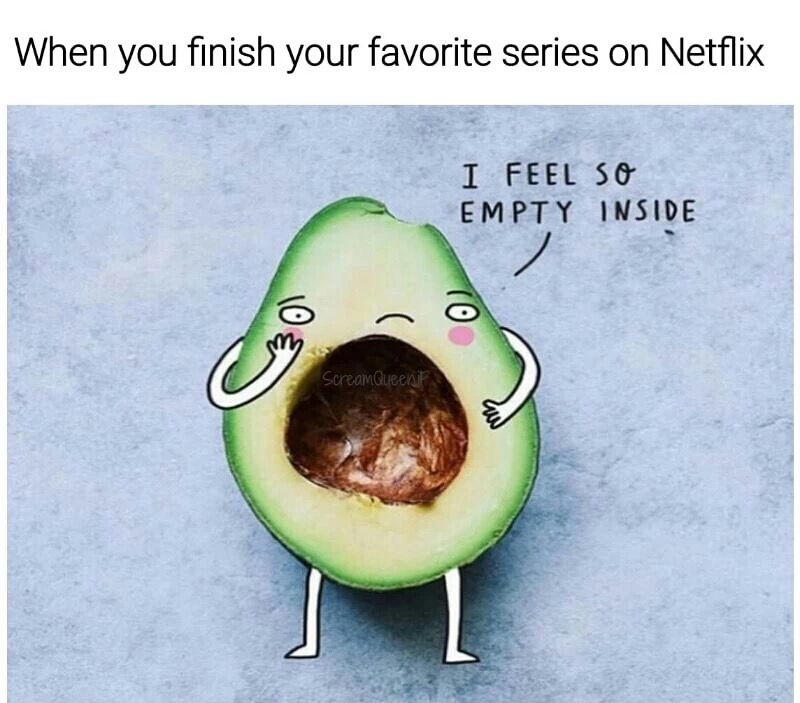 meme stream - you finish your favorite series meme - When you finish your favorite series on Netflix I Feel So Empty Inside Scream Queen