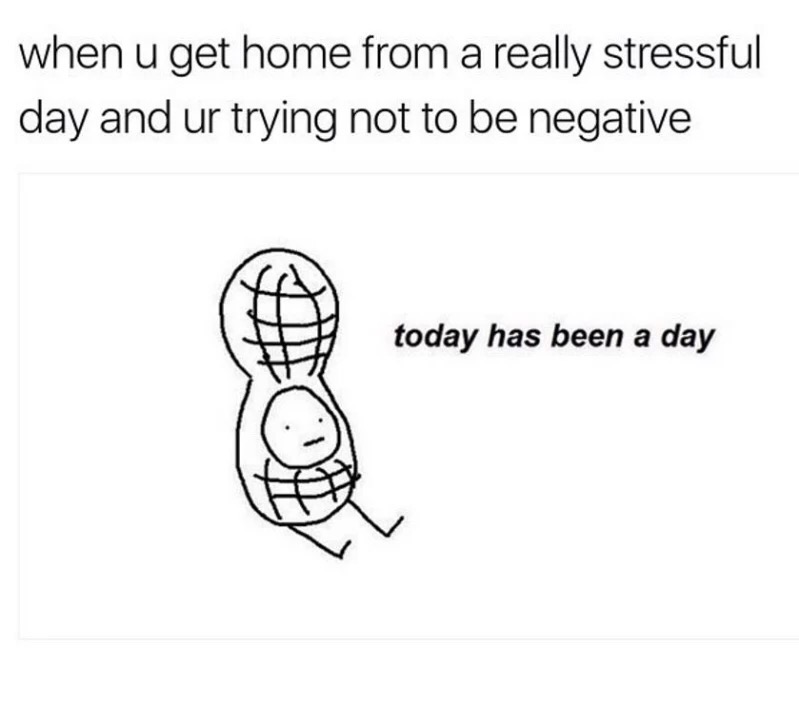 today has been a day meme - when u get home from a really stressful day and ur trying not to be negative today has been a day