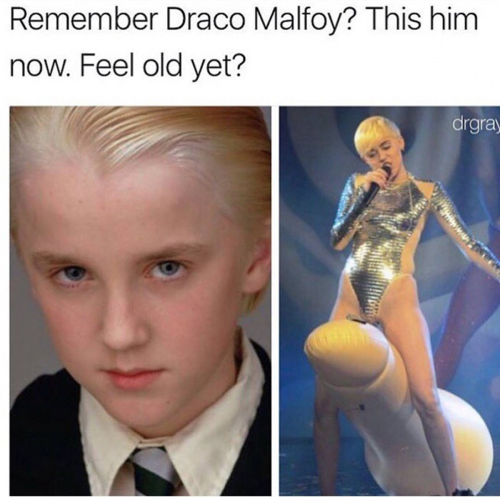 draco malfoy - Remember Draco Malfoy? This him now. Feel old yet? drgray