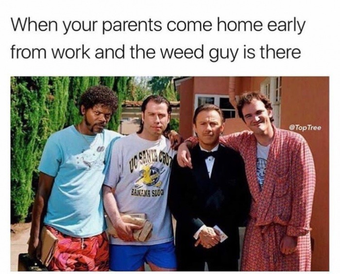 quentin tarantino samuel l jackson john travolta - When your parents come home early from work and the weed guy is there Tree Banana Sluo