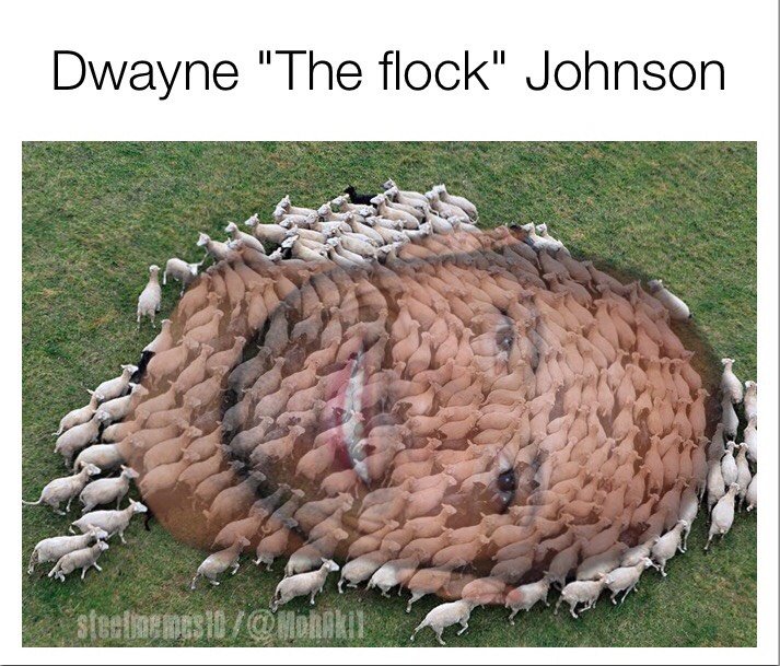 dwayne the ___ johnson - Dwayne "The flock" Johnson
