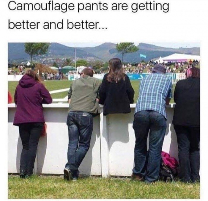 Meme about camouflage pants as a girl who is sitting atop the fence sort of looks like she is missing her legs.