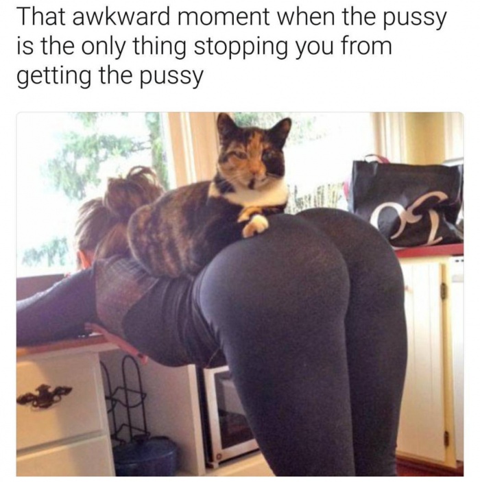 Funny meme of a cat standing on a babe's back.