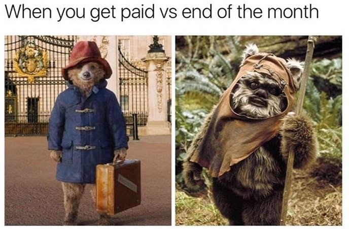 Paddington bear vs Ewok to compare getting paid to the end of the month.