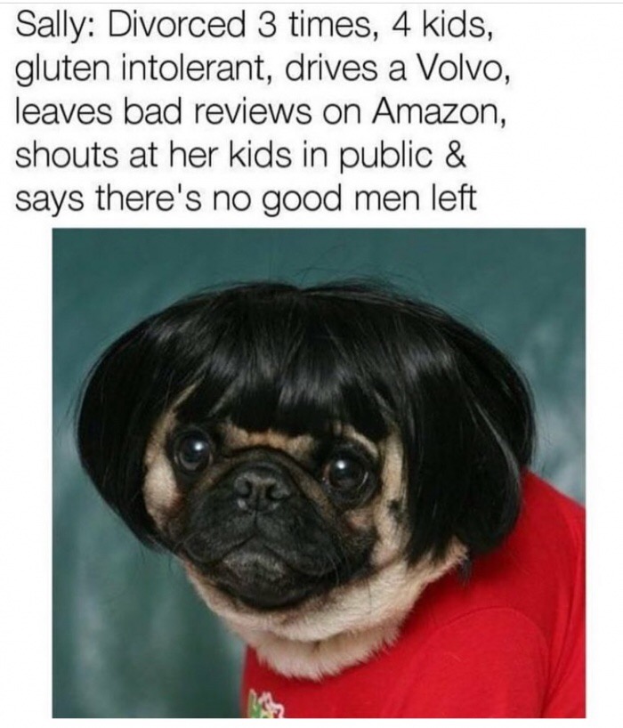 Pic of pug with a wig meme as if she is just a regular woman.